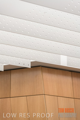 July 2020 / WILDERNESS_189