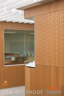 July 2020 / WILDERNESS_192