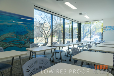 July 2020 / WILDERNESS_198-HDR