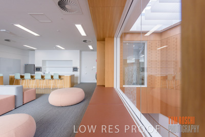 July 2020 / WILDERNESS_214