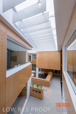 July 2020 / WILDERNESS_217