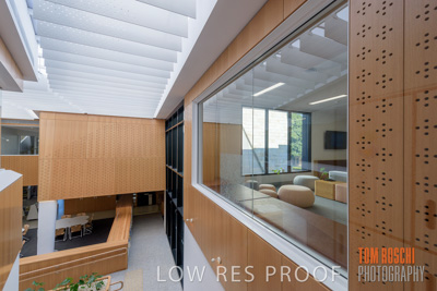 July 2020 / WILDERNESS_219