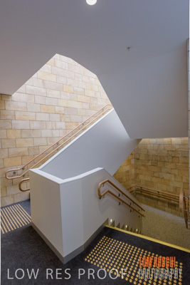 July 2020 / WILDERNESS_221