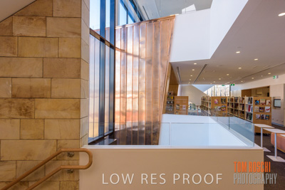 July 2020 / WILDERNESS_224