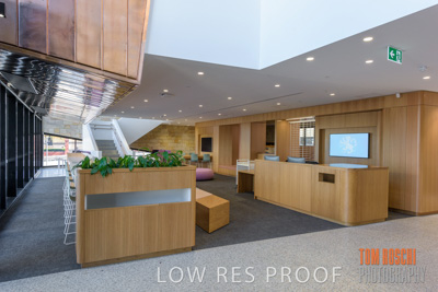 July 2020 / WILDERNESS_232