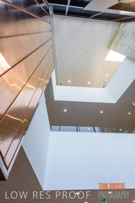 July 2020 / WILDERNESS_239