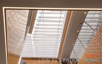 July 2020 / WILDERNESS_240