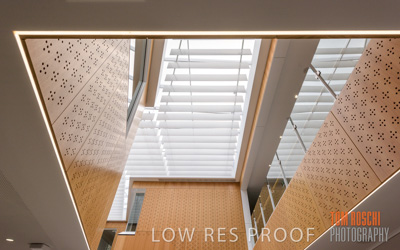 July 2020 / WILDERNESS_241