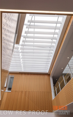 July 2020 / WILDERNESS_242