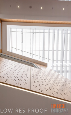 July 2020 / WILDERNESS_243