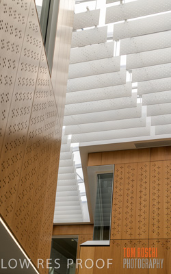 July 2020 / WILDERNESS_244