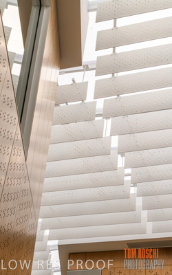 July 2020 / WILDERNESS_245