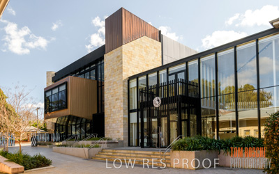 July 2020 / WILDERNESS_252