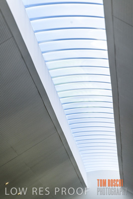 July 2020 / WOODCROFT_ELC_087