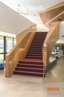 July 2020 / GLEESON_053