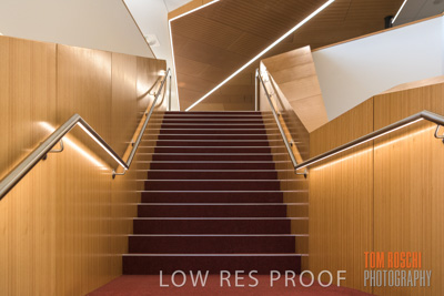 July 2020 / GLEESON_055