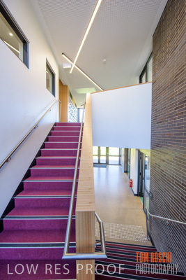 July 2020 / _81P2364-HDR