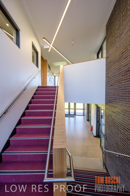 July 2020 / _81P2369-HDR