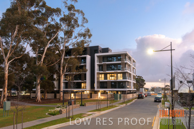 July 2020 / BOTANICA_002