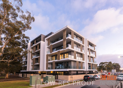 July 2020 / BOTANICA_005