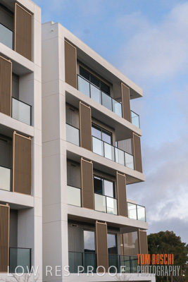 July 2020 / BOTANICA_008