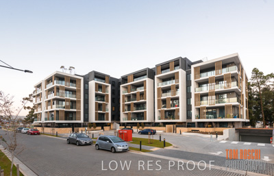 July 2020 / BOTANICA_014