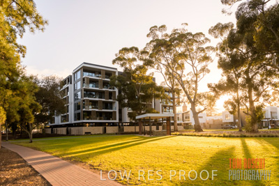 July 2020 / BOTANICA_037-HDR