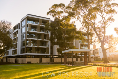 July 2020 / BOTANICA_039-HDR