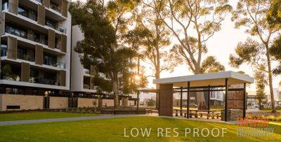 July 2020 / BOTANICA_040-HDR