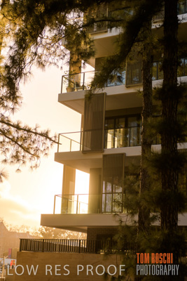 July 2020 / BOTANICA_044-HDR