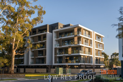 July 2020 / BOTANICA_045