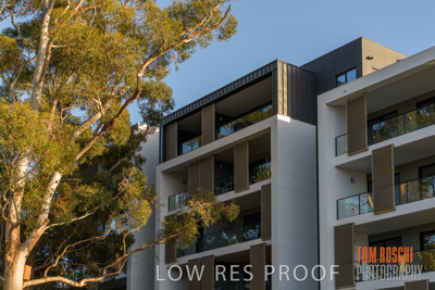 July 2020 / BOTANICA_046