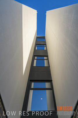 July 2020 / BOTANICA_047