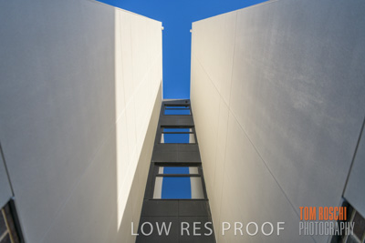 July 2020 / BOTANICA_048