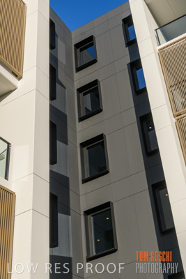 July 2020 / BOTANICA_049