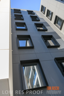 July 2020 / BOTANICA_050