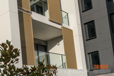 July 2020 / BOTANICA_052