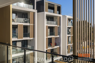 July 2020 / BOTANICA_053