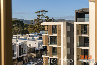 July 2020 / BOTANICA_055