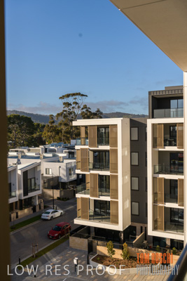 July 2020 / BOTANICA_056