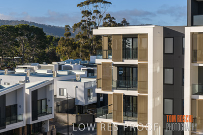 July 2020 / BOTANICA_058