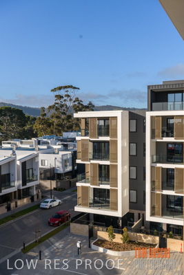 July 2020 / BOTANICA_059