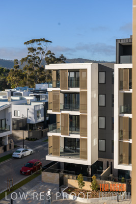 July 2020 / BOTANICA_060