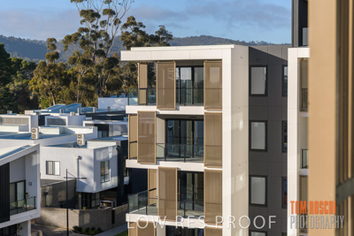 July 2020 / BOTANICA_061