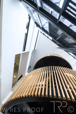 September 2020 / SARAH_WESTMINSTER_200930_027