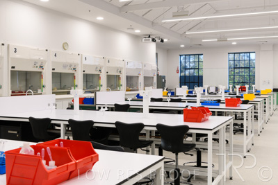 October 2020 / UoA_Johnson_Lab_005