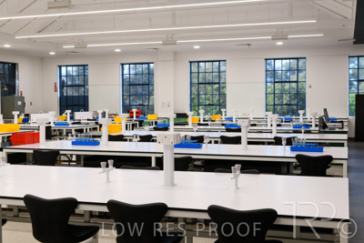 October 2020 / UoA_Johnson_Lab_006