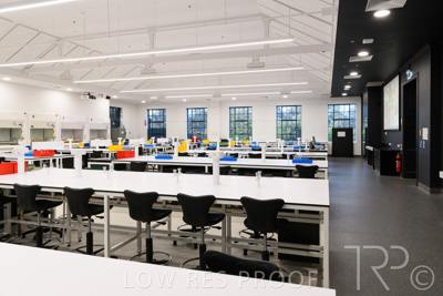 October 2020 / UoA_Johnson_Lab_007