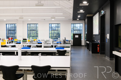 October 2020 / UoA_Johnson_Lab_008