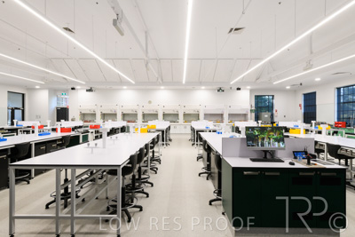 October 2020 / UoA_Johnson_Lab_009